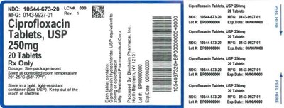 Label 250mg 20ct (Label Ciprofloxacin Tabs 250mg Bpi(10544 673 20) West Ward(0143 9927 01) Rev1)